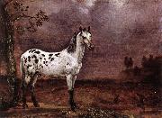 POTTER, Paulus The Spotted Horse af china oil painting artist